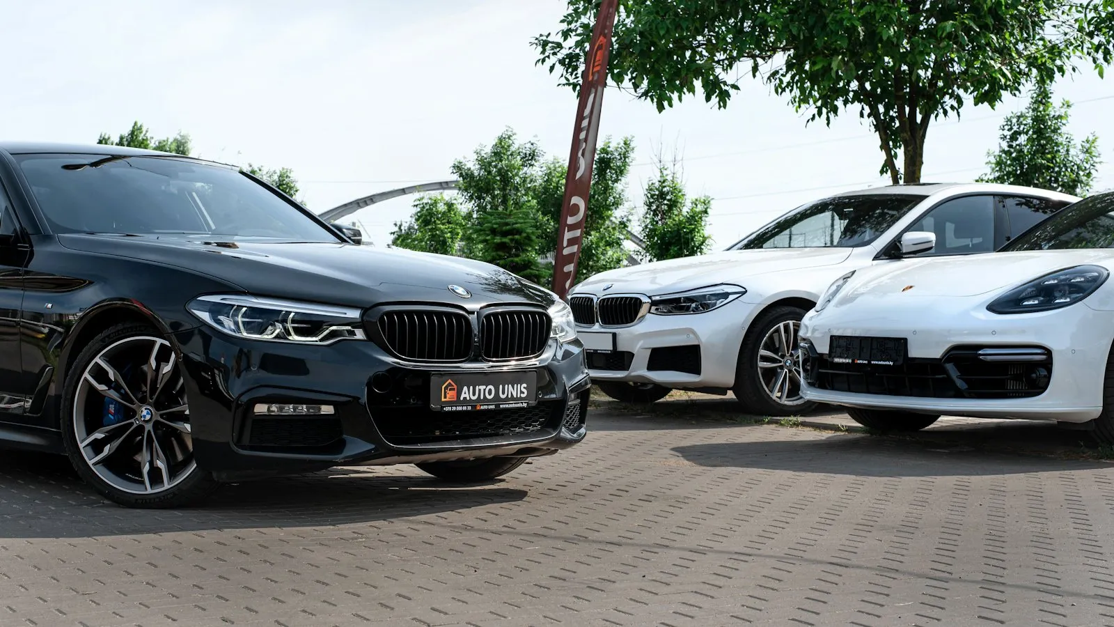 Pre-owned cars lined up on an independent dealer's lot